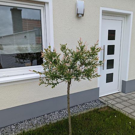 Ferienhaus Zum Kuckuck, Wng 2, Urlaub Im Eichsfeld Kallmerode Eksteriør bilde