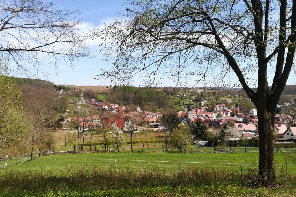 Ferienhaus Zum Kuckuck, Wng 2, Urlaub Im Eichsfeld Kallmerode Eksteriør bilde