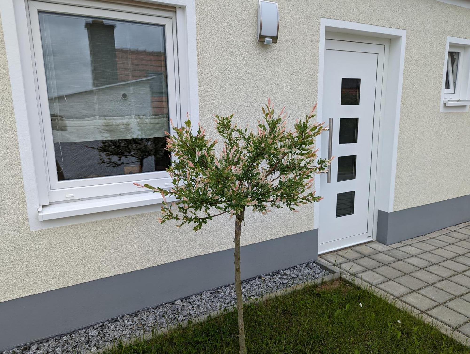 Ferienhaus Zum Kuckuck, Wng 2, Urlaub Im Eichsfeld Kallmerode Eksteriør bilde