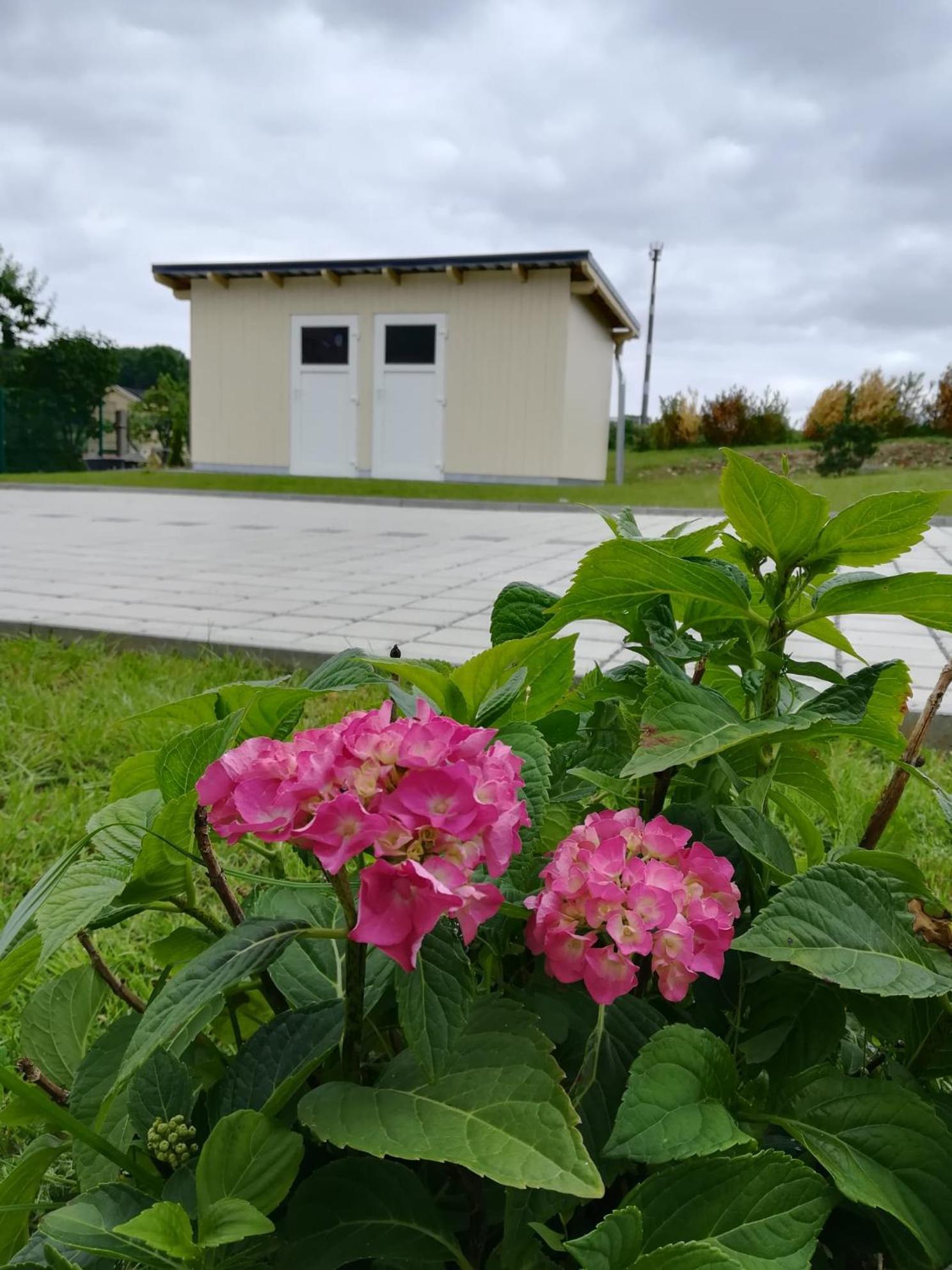 Ferienhaus Zum Kuckuck, Wng 2, Urlaub Im Eichsfeld Kallmerode Eksteriør bilde